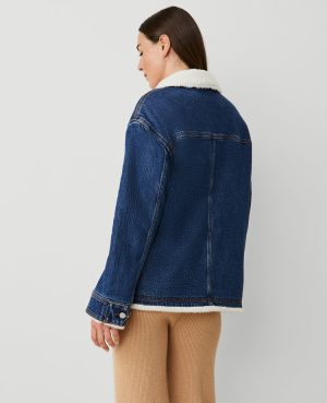 Petite Weekend Collection Sherpa Lined Relaxed Carpenter Jacket