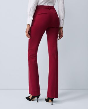 The Sophia Pant in Ponte