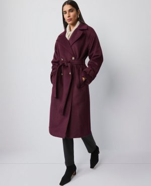 Petite Belted Trench Coat