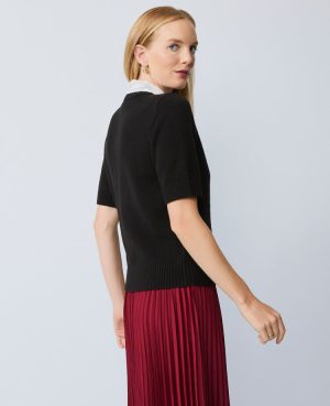 Petite Lace Collar Sweater Tee