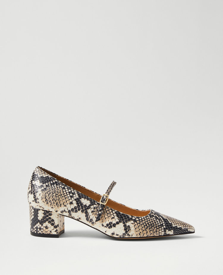Snake Print Pointy Toe Block Heel Pumps