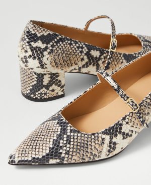 Snake Print Pointy Toe Block Heel Pumps