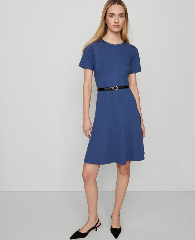 Petite Crew Neck Belted Flare Dress