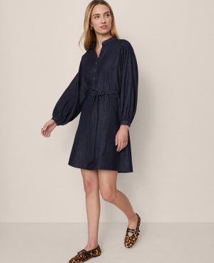Petite Weekend Collection Stand Collar Shift Dress