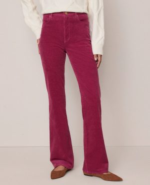 Weekend Collection Boot Corduroy Pant